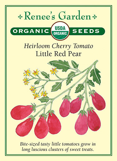 Renee's Garden Heirloom Tomato Cherry Little Red Pear