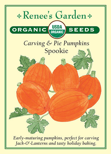 Renee's Garden Pumpkins Carving & Pie Spookie