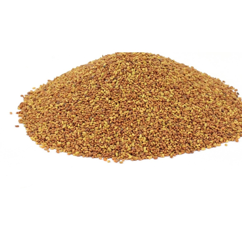 BuildASoil Alfalfa Seed - For Organic Sprouted Seed Tea
