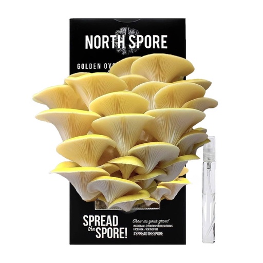 [S&G-PC2] North Spore Organic Golden Oyster ‘Spray & Grow’ Mushroom Growing Kit