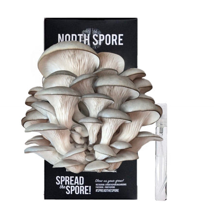 [S&G-PO1] North Spore Organic Blue Oyster ‘Spray & Grow’ Mushroom Growing Kit