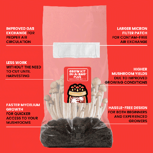 [MSGKIT-5LB] MUSHROOMSUPPLIES All-in-One PLUS Kit