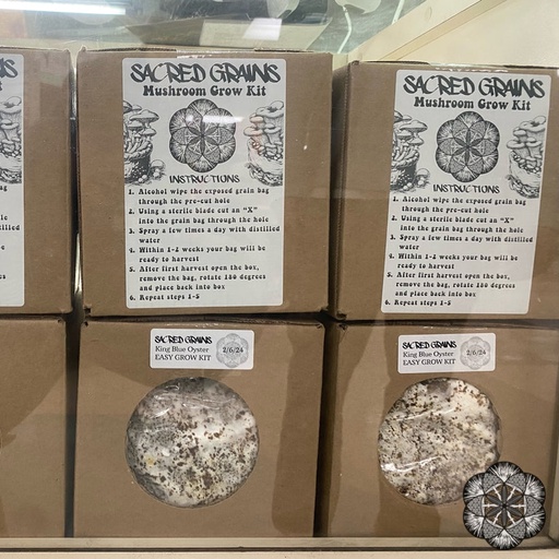 [SGS&GKBlueOyster] Sacred Grains Mushroom Grow Kit, King Blue Oyster
